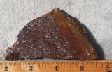 Dinosaur Bone Rock Slab 429