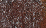 Dinosaur Bone Rock Slab 429