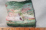 Unicorn Jasper Slab 173