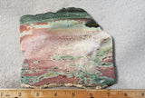 Unicorn Jasper Slab 172