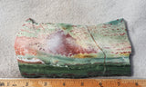 Unicorn Jasper Slab 176