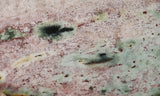 Unicorn Jasper Slab 185