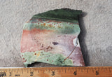 Unicorn Jasper Slab 190