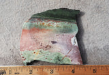 Unicorn Jasper Slab 190
