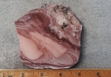 Imperial Jasper Slab 442