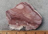 Imperial Jasper Slab 428