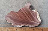 Imperial Jasper Slab 429