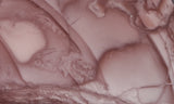 Imperial Jasper Slab 448