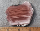Imperial Jasper Slab 434