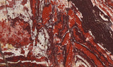 Snakeskin Jasper Slab 81