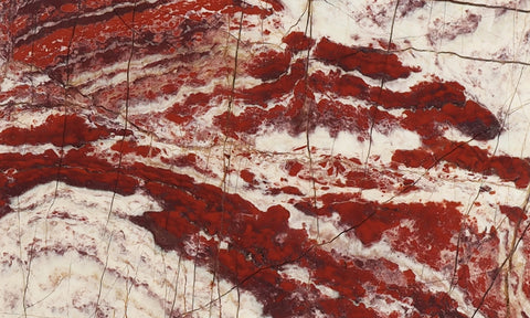 Snakeskin Jasper Slab 81