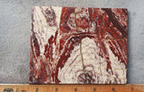 Snakeskin Jasper Slab 81
