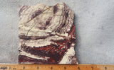 Snakeskin Jasper Slab 86