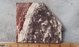Snakeskin Jasper Slab 90