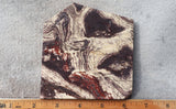 Snakeskin Jasper Slab 87