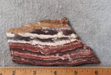 Snakeskin Jasper Slab 98