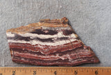 Snakeskin Jasper Slab 98