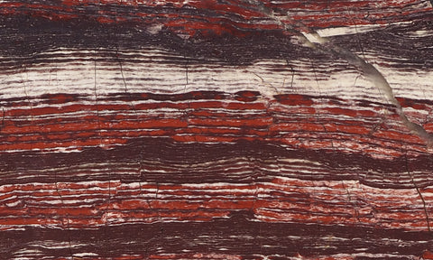 Snakeskin Jasper Slab 92