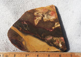 Amazon Basin Valley Jasper 423