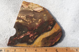 Amazon Basin Valley Jasper 425