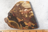 Amazon Basin Valley Jasper 424