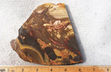 Amazon Basin Valley Jasper 424