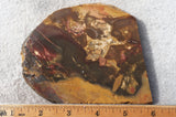 Amazon Basin Valley Jasper 421