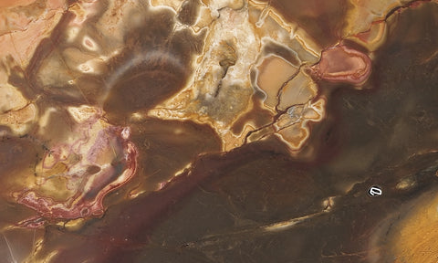 Amazon Basin Valley Jasper 421