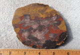 Amazon Basin Valley Jasper 426