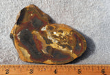 Amazon Basin Valley Jasper 433