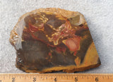 Amazon Basin Valley Jasper 427