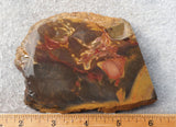Amazon Basin Valley Jasper 427
