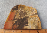 Amazon Basin Valley Jasper 422