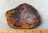 Amazon Basin Valley Jasper 446