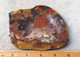 Amazon Basin Valley Jasper 445