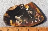Amazon Basin Valley Jasper 439