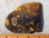Amazon Basin Valley Jasper 434