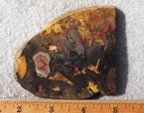 Amazon Basin Valley Jasper 434