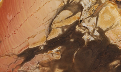 Amazon Basin Valley Jasper 444