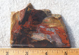 Amazon Basin Valley Jasper 436