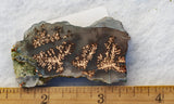 Dendritic Copper Chrysocolla 48