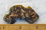 Dendritic Copper Chrysocolla 47