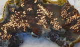 Dendritic Copper Chrysocolla 47