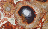 Laguna Lace Agate Rock Slab 457