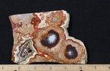 Laguna Lace Agate Rock Slab 457