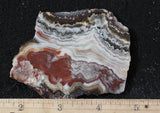 Laguna Lace Agate Rock Slab 471