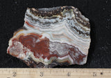 Laguna Lace Agate Rock Slab 471