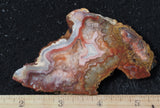 Laguna Lace Agate Rock Slab 427