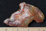 Laguna Lace Agate Rock Slab 427