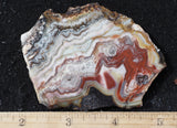 Laguna Lace Agate Rock Slab 437